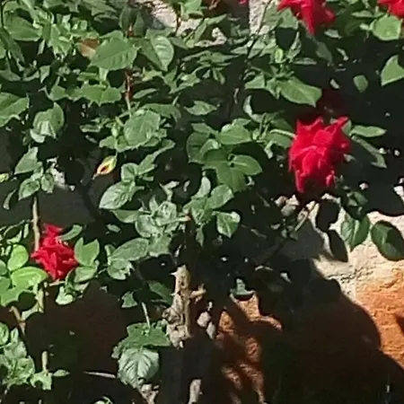 Vesna For 2, Free Parking And Wi-fi Πούλα