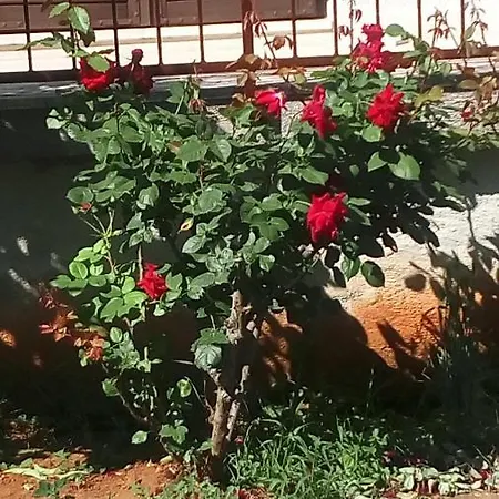 Vesna For 2, Free Parking And Wi-fi Διαμέρισμα Πούλα