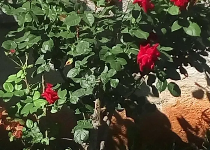 Vesna For 2, Free Parking And Wi-fi Pula