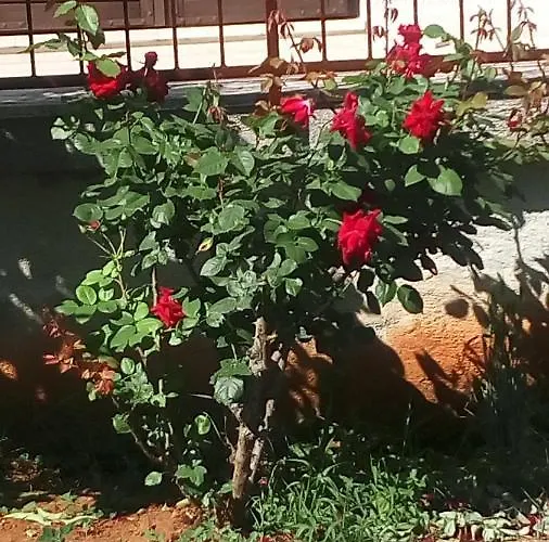 Vesna For 2, Free Parking And Wi-fi Apartman Pula