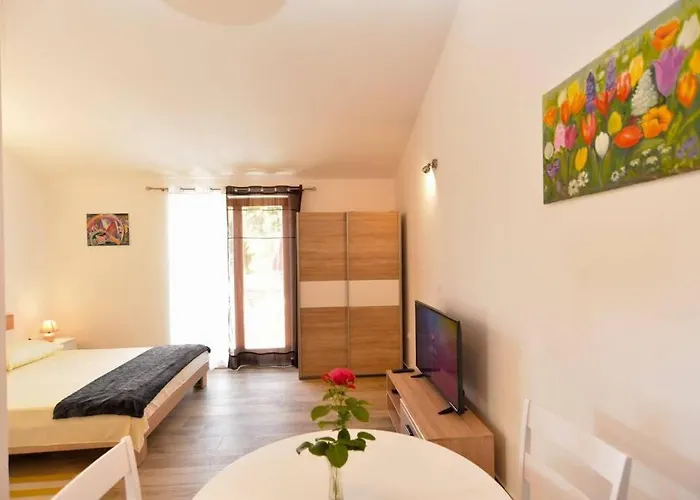 Vesna For 2, Free Parking And Wi-fi Apartament Pula